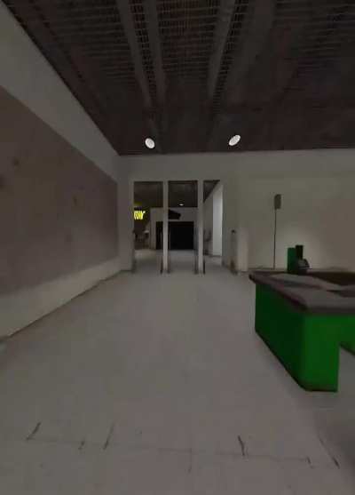 Ginger Cat, the feline that seeks awareness