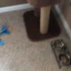 First time looking in a mirror!!😂😂