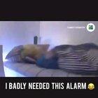 Funniest shit I've seen in a while