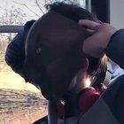 Welcome to Jurassic Park