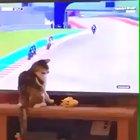 dEmEnTEd CaT dEsTrOYs bIkER iN cOlD bLOoDeD rEvENge