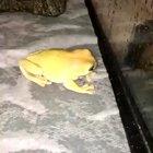 Why is he so angry 😳