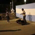 Ni a Capusotto le hubiese salido tan bien