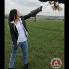 Feeding this absolute unit