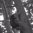 Marriage in a nutshell