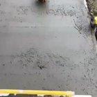 Proceeds to walk all over it