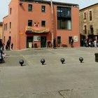 Let s cut the tree and call a lot of people to watch it