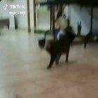 Model perfected catwalk