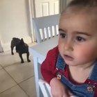 Kid claims a burglar broke in and ate their cakes