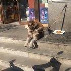 Waiting for you best friend