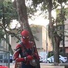 Homem-aranha sorveteiro