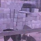 Nem cachorro está mais brigando na mão 🤔🤔🤔😂😂😂😂😂