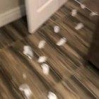 Good luck cleaning that