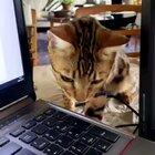 Curiosity can lead to some spooks.