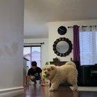 CaMeRaMaN gEtS eAtEn By FeRoCiOuS bEaR