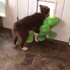 The struggle is real!