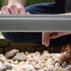 The purest form of love.