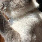 We took Quinn outside one time. I think she liked it...