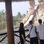 A real man never runs away from water coaster, oh wait..