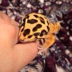 This is exactly how they must feel...