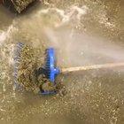 Oh no it got wet 💀