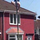 It goes exactly like you think it will