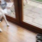 happens every mornin