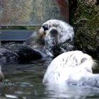 Awww yeah, squish them cheeeeks