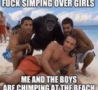 Don't be a simp caw caw