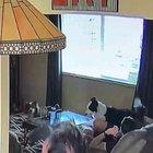 Just another day at home