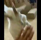 It just keeps getting weirder