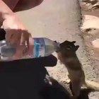 I will drink it all!