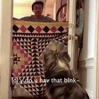 Doggo meets new master