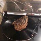 What day is it, my dudes?