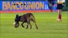 Police dog steals ball during soccer match..