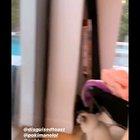 See You Again ft. Toast & Homies