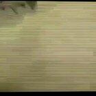 shrek mi pana 😭😭 se le ve bien duki