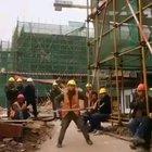 I looked everywhere. It was potato quality or nothing at all