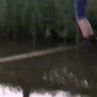 interesting situation