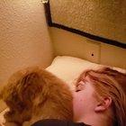 Fiance was unsure about an emotional support meower. Now this happens every night.