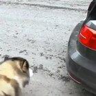 His favorite spot when traveling.