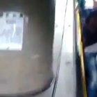 Night Night. Sleep Tight!