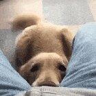 I just met you and I have already decided I love you