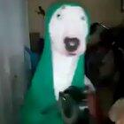 Cuando te prometieron llenarte la alacena pero en cambio te aumentan el Dog Chow