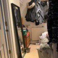 Kitten’s first time seeing her reflection