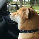 Я просто не могу выкинуть тебя из головы...