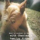 A little bit of overflow :)