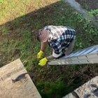 Wait for me! I will help you work.