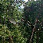 This guy at the Renaissance Festival