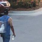 spotted a man taking his bird for a walk